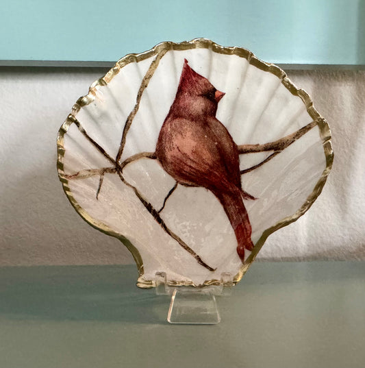 Red Cardinal Shell Trinket Dish