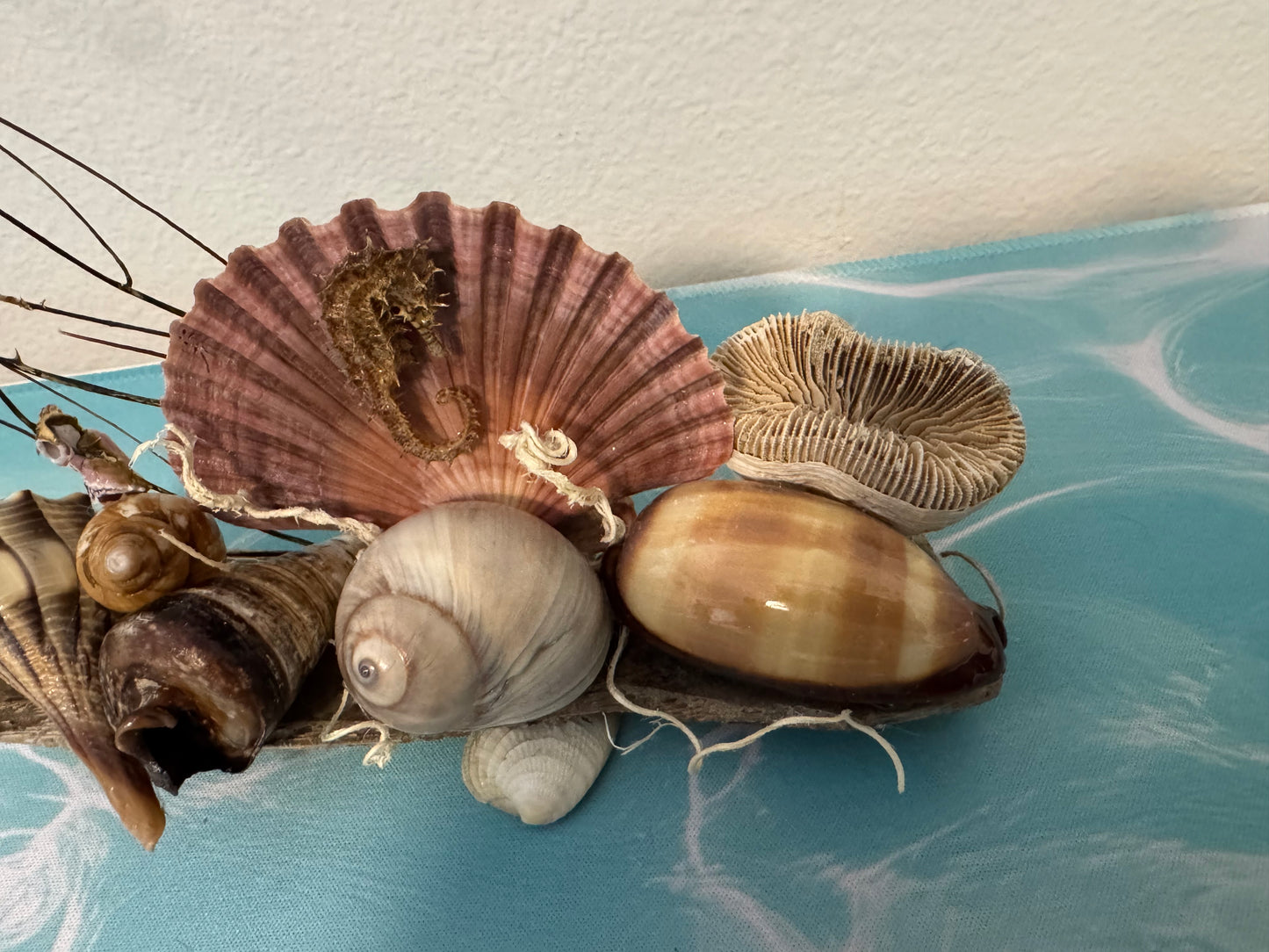 Driftwood and Seahorse Coastal Decor