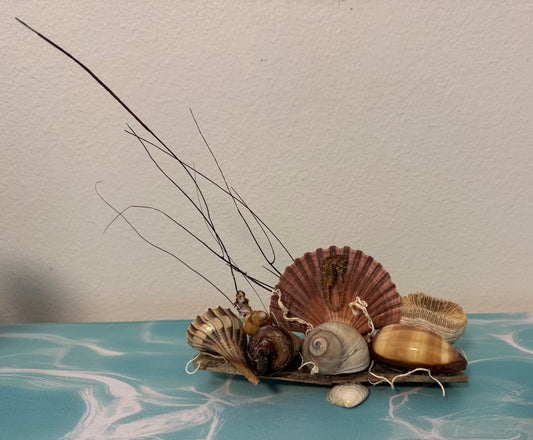 Driftwood and Seahorse Coastal Decor