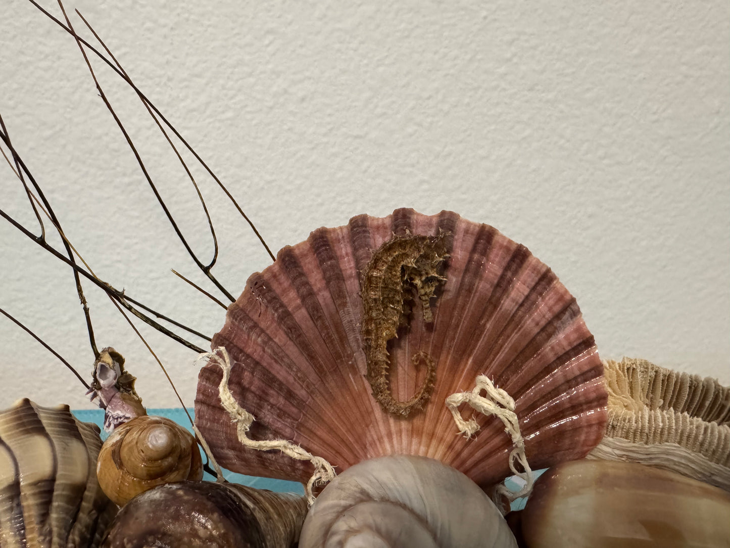 Driftwood and Seahorse Coastal Decor