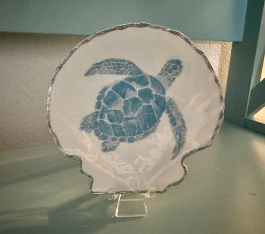 Blue Turtle Shell Trinket Dish
