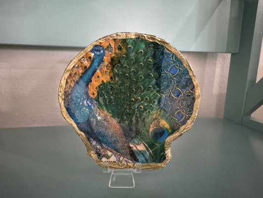 Peacock Shell Trinket Dish