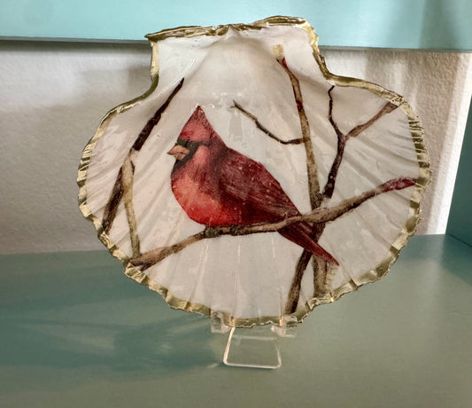 Large Cardinal Shell Trinket Dish