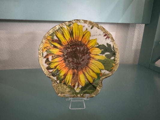 Sunflower Shell Trinket Dish