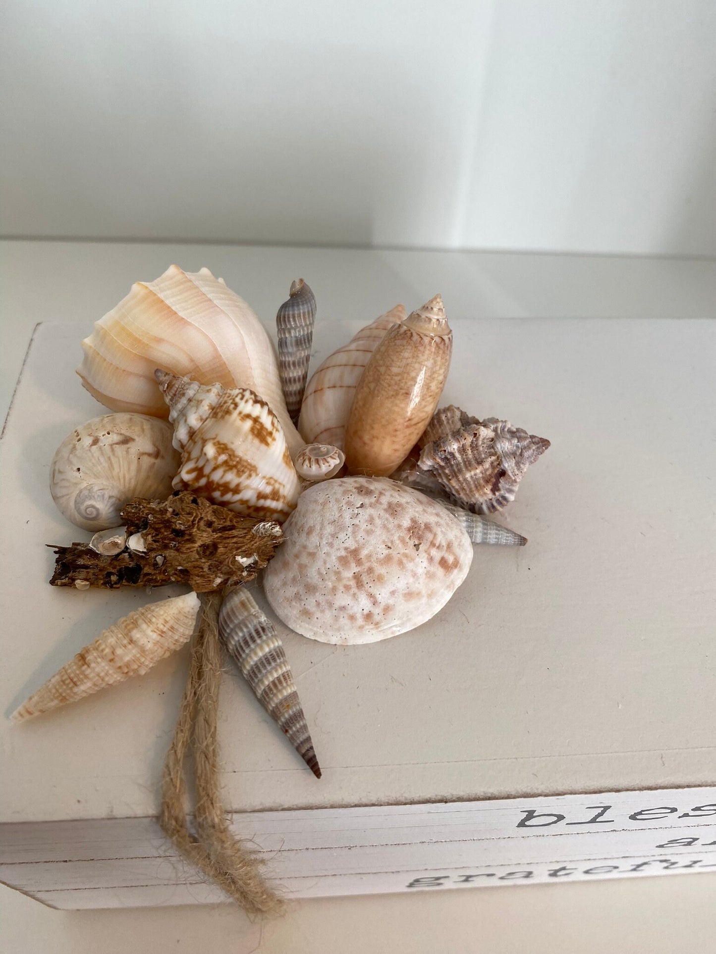 White grateful and blessed box with seashells for shelf or desk