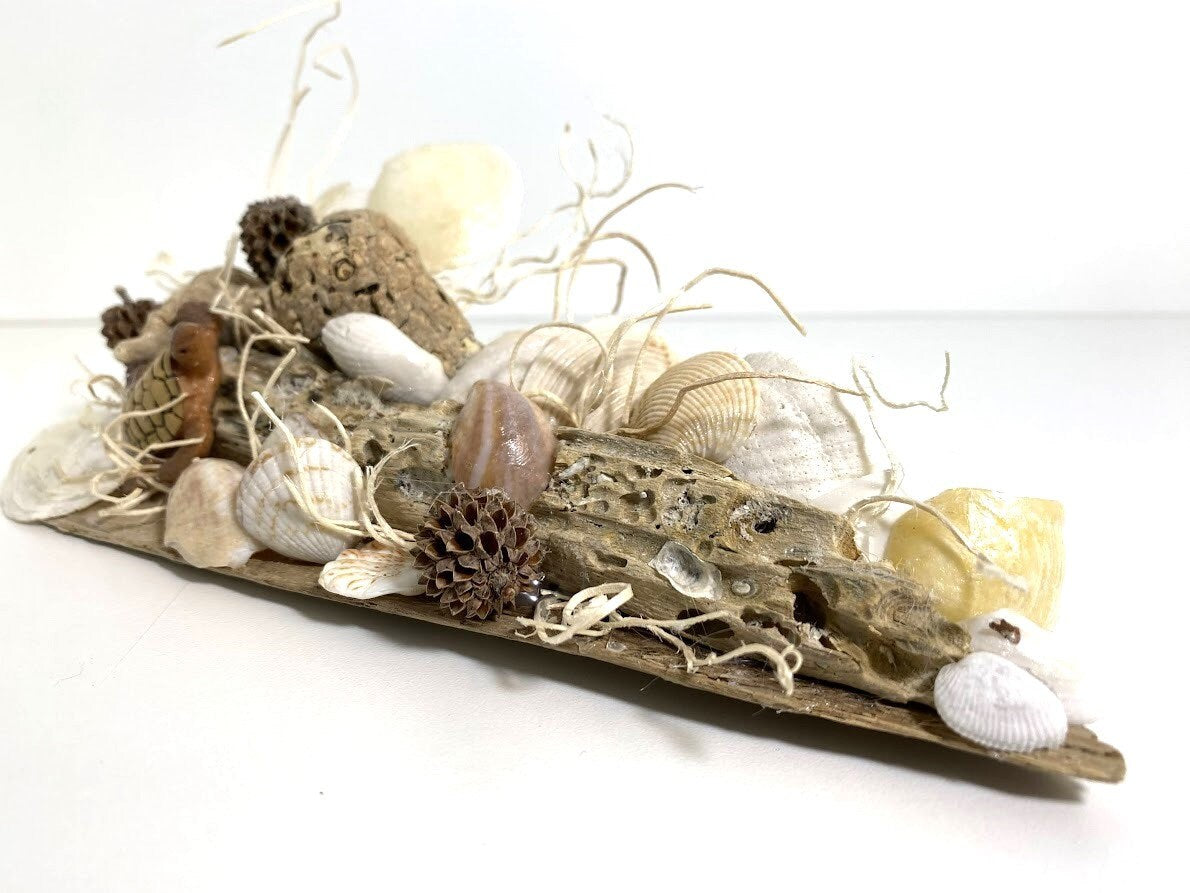 Turtle on Driftwood