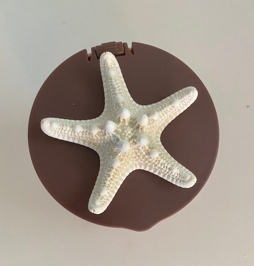 Pink and Maroon Multi-Compartment Starfish Jewelry Box